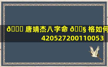 🐅 唐靖杰八字命 🐧 格如何（420527200110053907 唐靖）